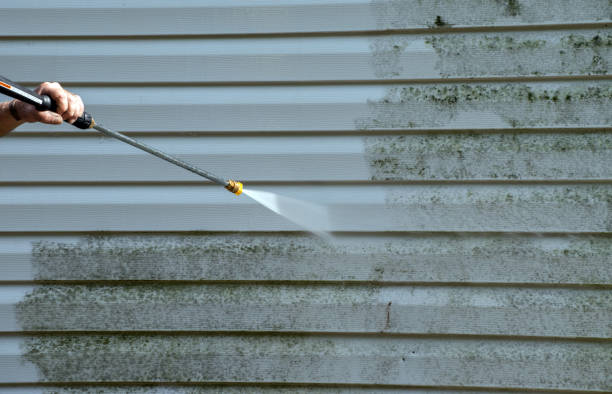 Best House Pressure Washing  in Shadyside, OH
