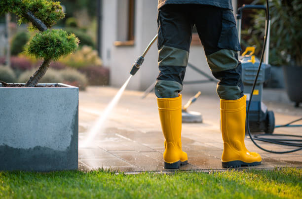 Best Roof Pressure Washing  in Shadyside, OH